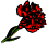 Red Carnation-L