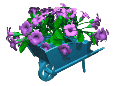 Whitney_Animated Flowers