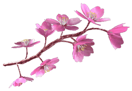 Whitney_Animated Pink Flowers