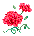 carnation_2